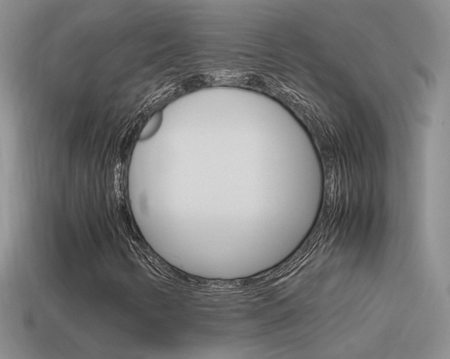 X0000115561346200911061139