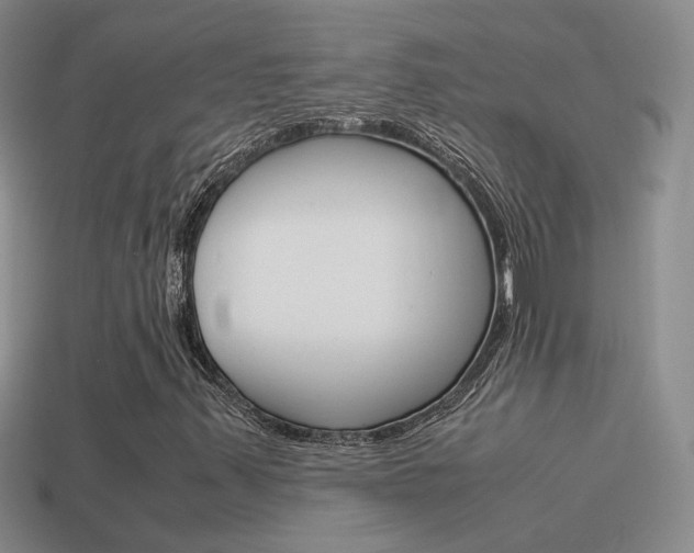 X0000115561347200911061139