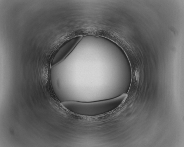 X0000115561348200911061139