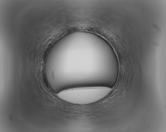 X0000115561349200911061139