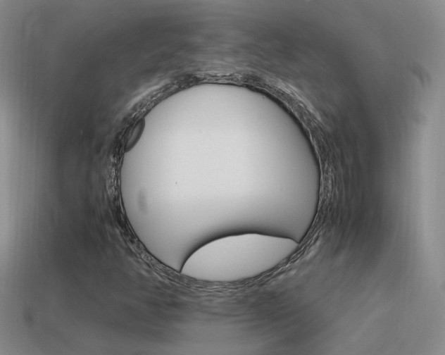 X0000115561350200911061139