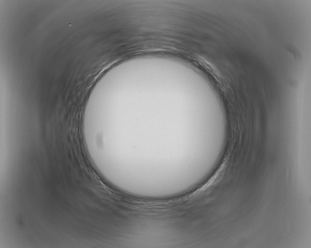 X0000115561353200911061139