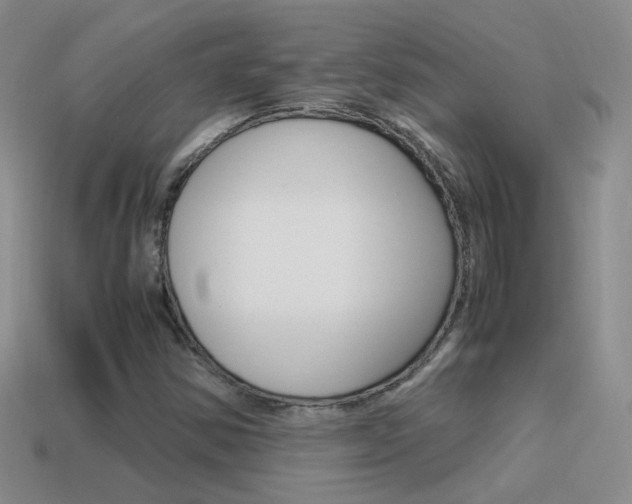 X0000115561354200911061139