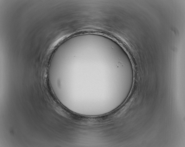 X0000115561355200911061139