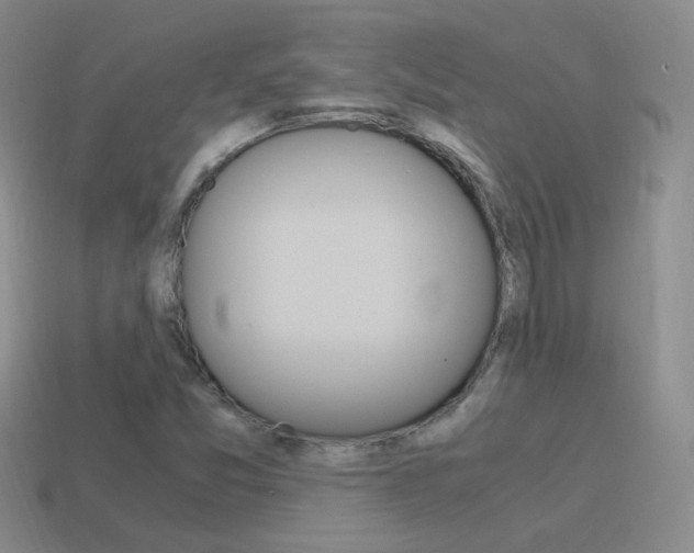 X0000115561357200911061139