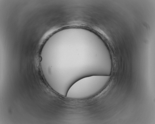 X0000115561358200911061139