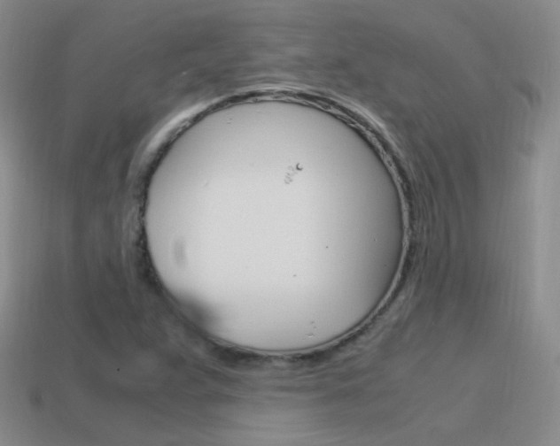 X0000115561359200911061139