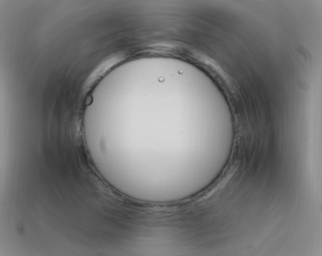 X0000115561362200911061139