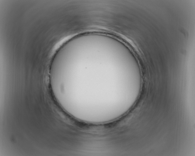 X0000115561363200911061139