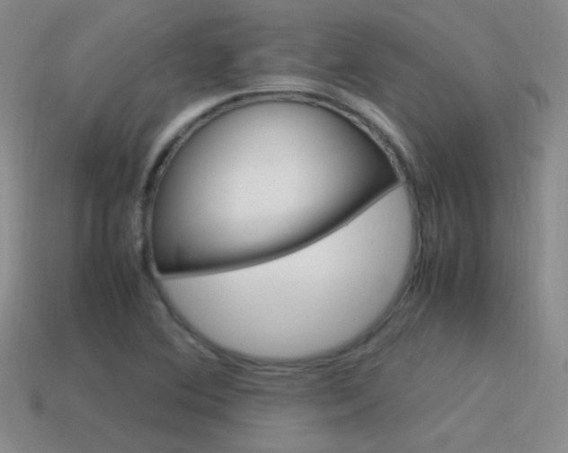 X0000115561364200911061139
