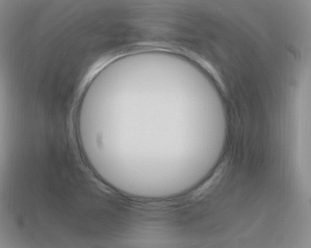 X0000115561365200911061139
