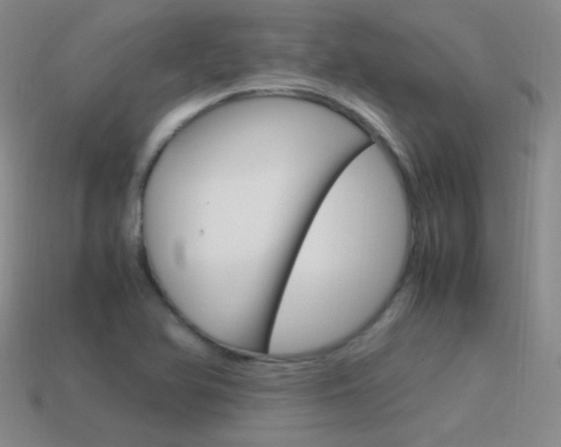 X0000115561366200911061139