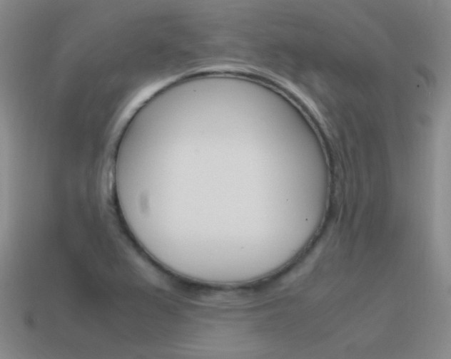 X0000115561367200911061139