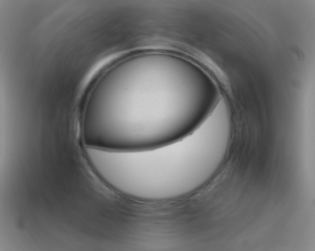 X0000115561368200911061139