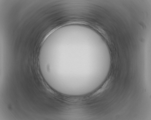 X0000115561369200911061139
