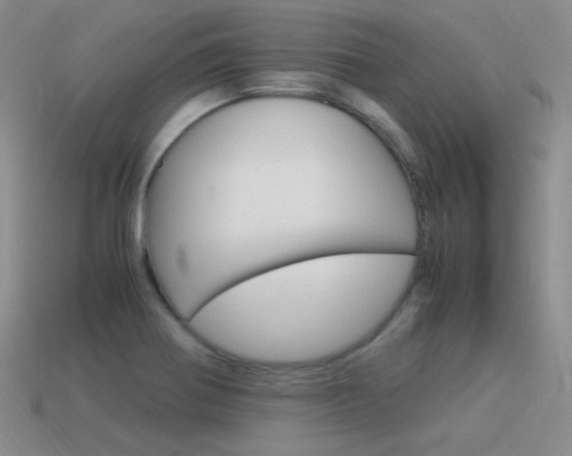 X0000115561370200911061139