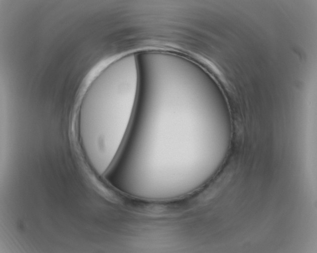 X0000115561371200911061139