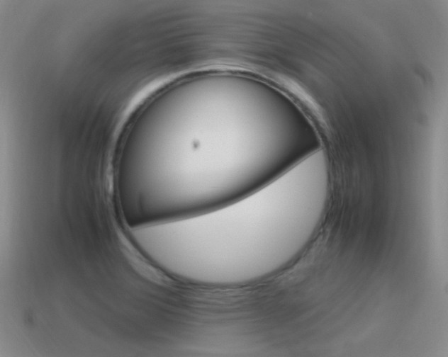 X0000115561372200911061139