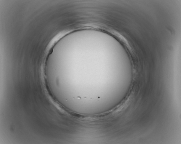 X0000115561373200911061139