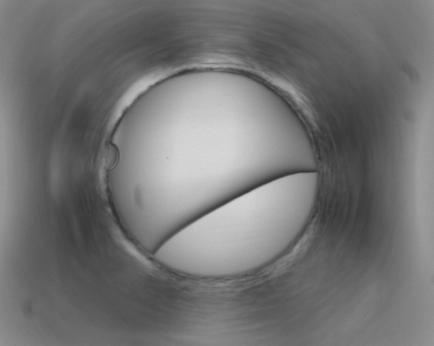 X0000115561374200911061139