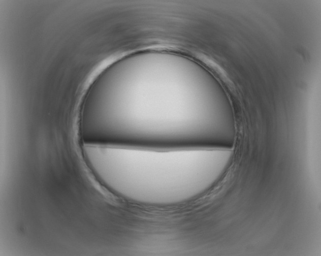 X0000115561375200911061139
