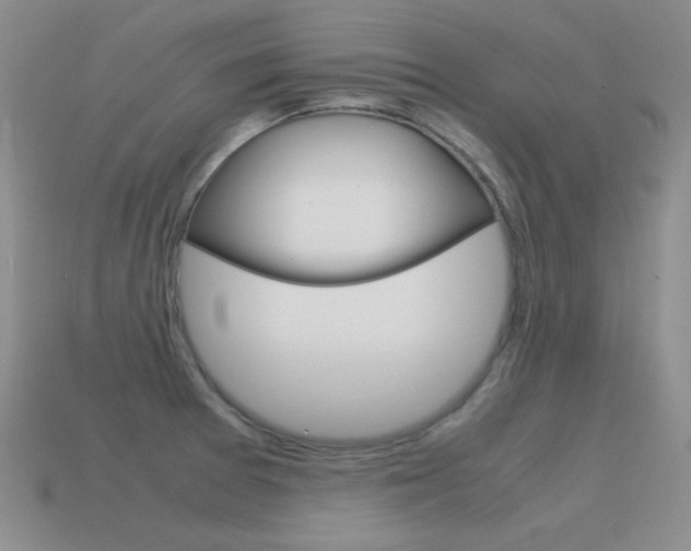 X0000115561377200911061138