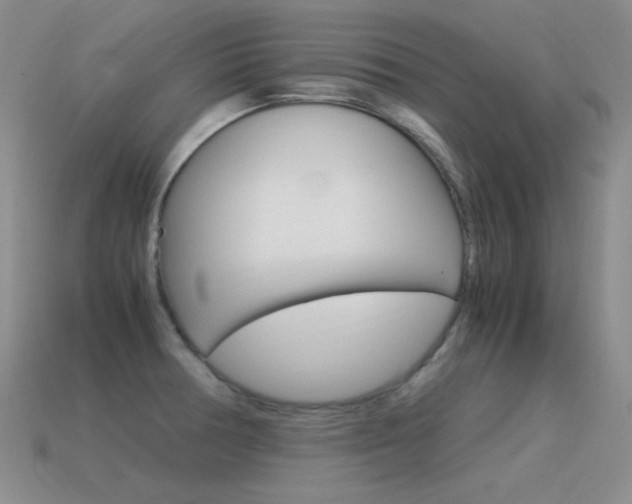 X0000115561378200911061138