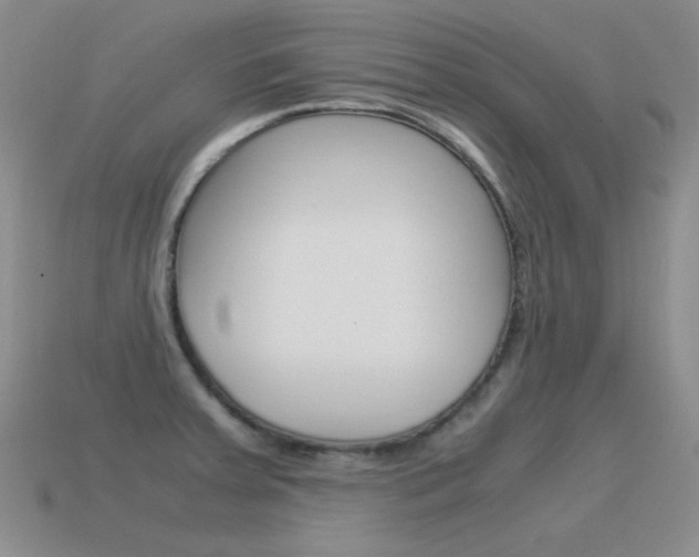 X0000115561379200911061138
