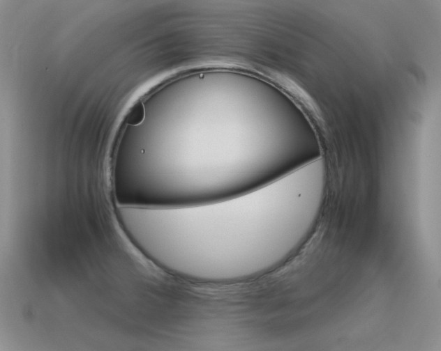 X0000115561380200911061138