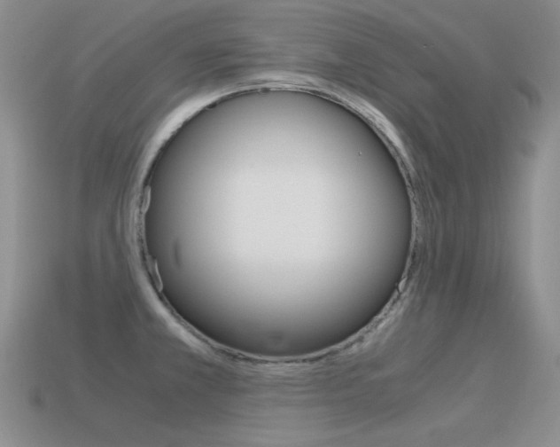 X0000115561381200911061138