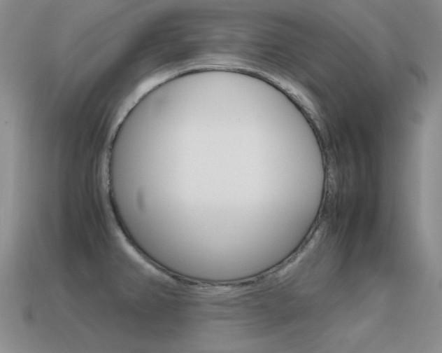 X0000115561382200911061138