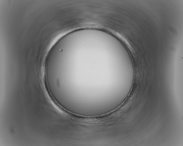 X0000115561383200911061138