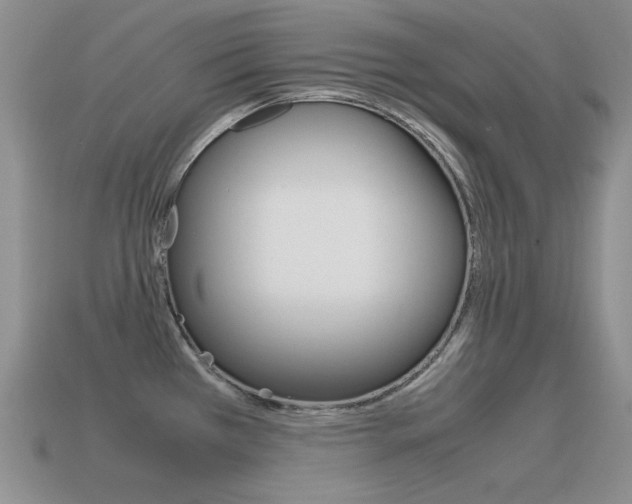 X0000115561385200911061138