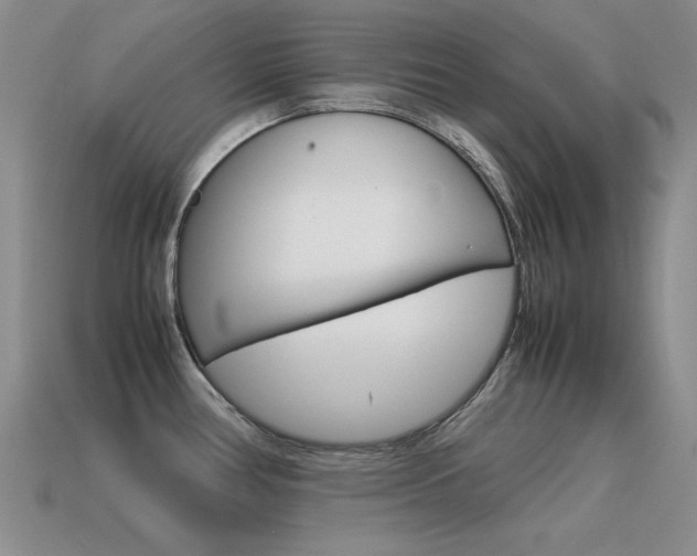 X0000115561386200911061138