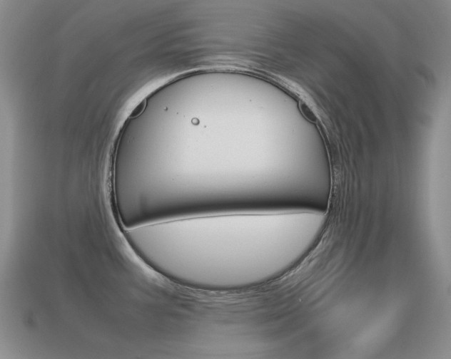 X0000115561387200911061138