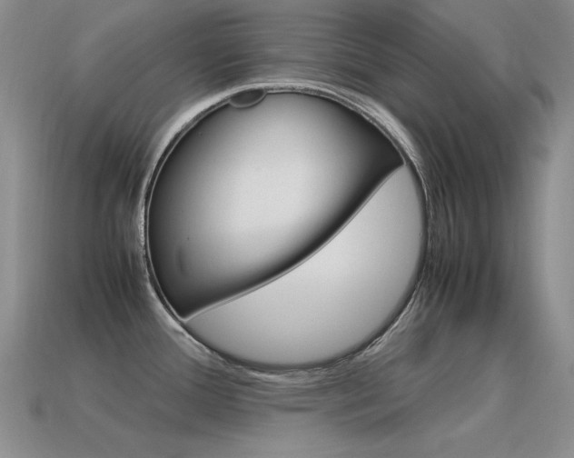 X0000115561388200911061138