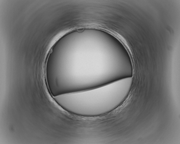 X0000115561389200911061138