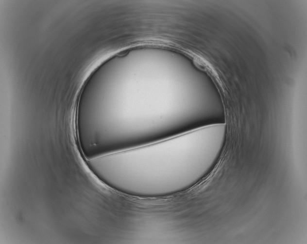 X0000115561391200911061138