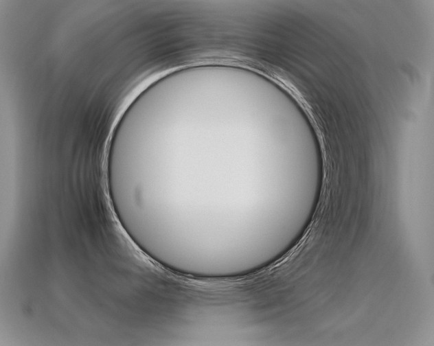 X0000115561392200911061138