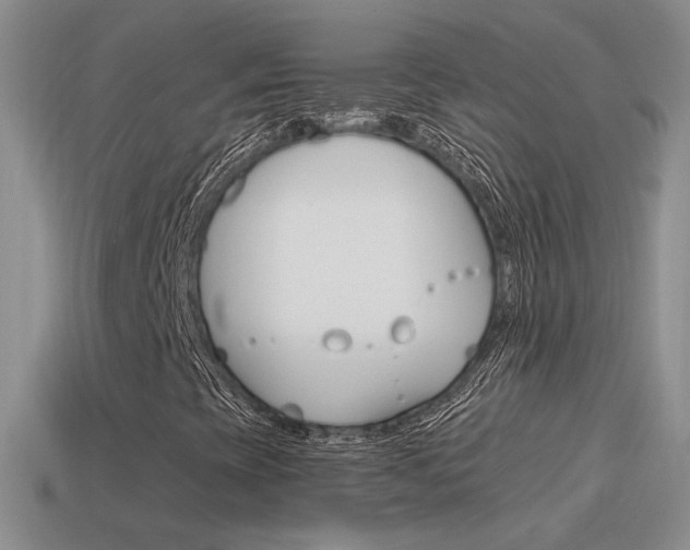 X0000115561393200911061138