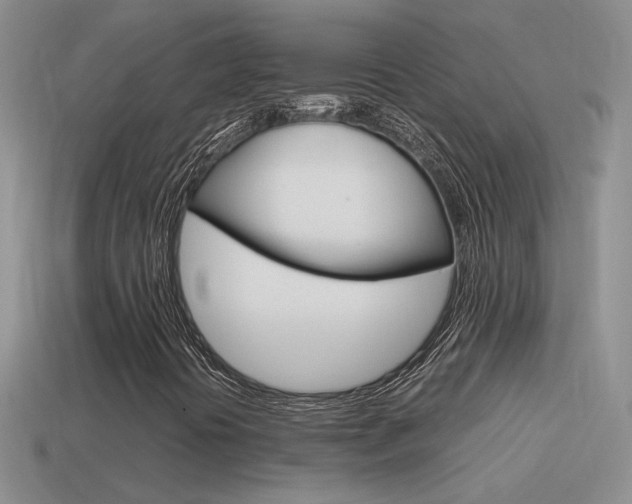 X0000115561394200911061138