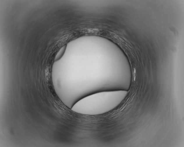 X0000115561395200911061138