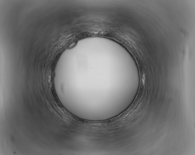 X0000115561396200911061138