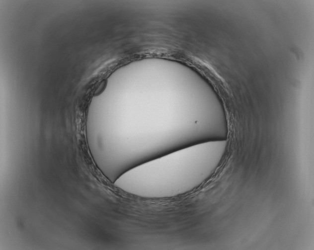 X0000115561399200911061138