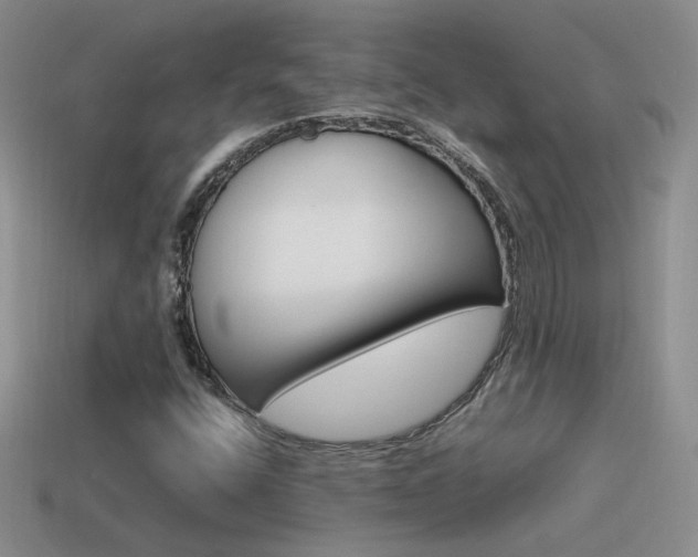 X0000115561400200911061138