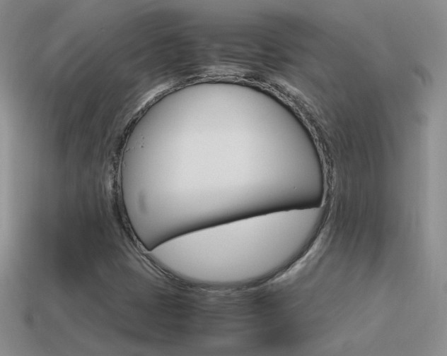 X0000115561401200911061138