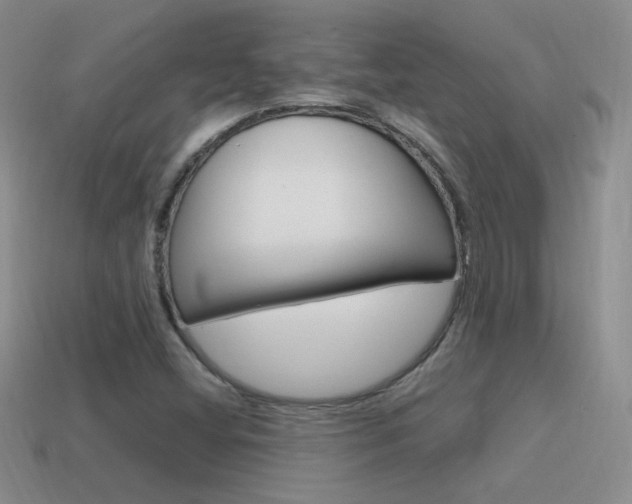 X0000115561404200911061138