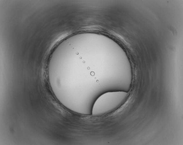 X0000115561405200911061138