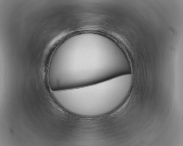 X0000115561406200911061138