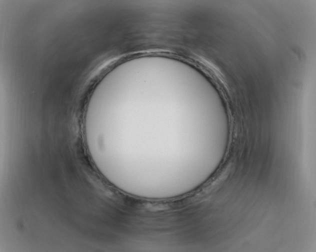 X0000115561407200911061138